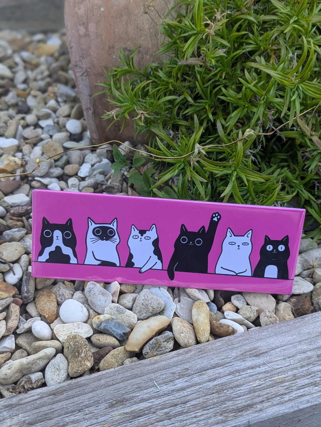 Tiny Attitudes