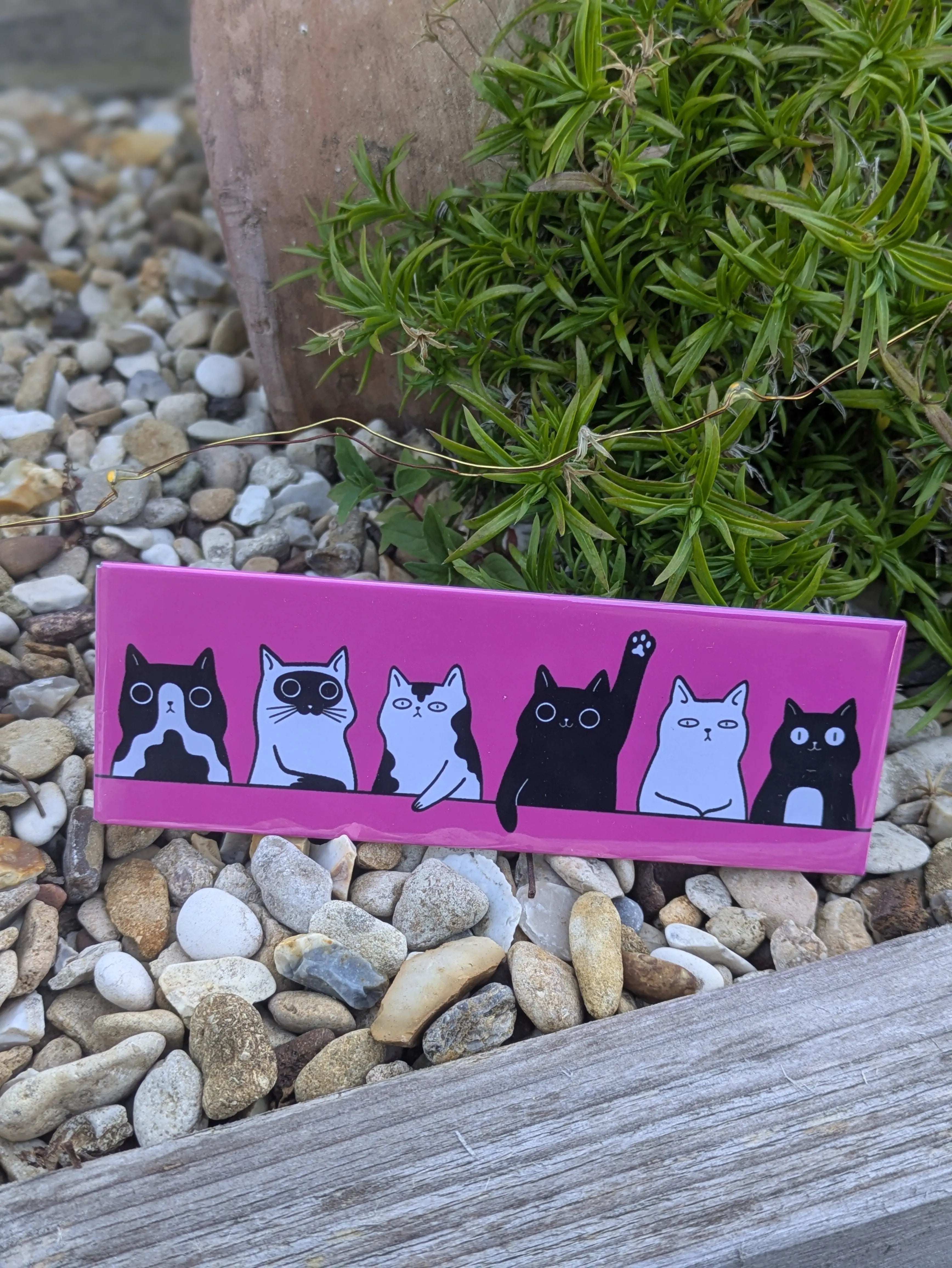 Tiny Attitudes