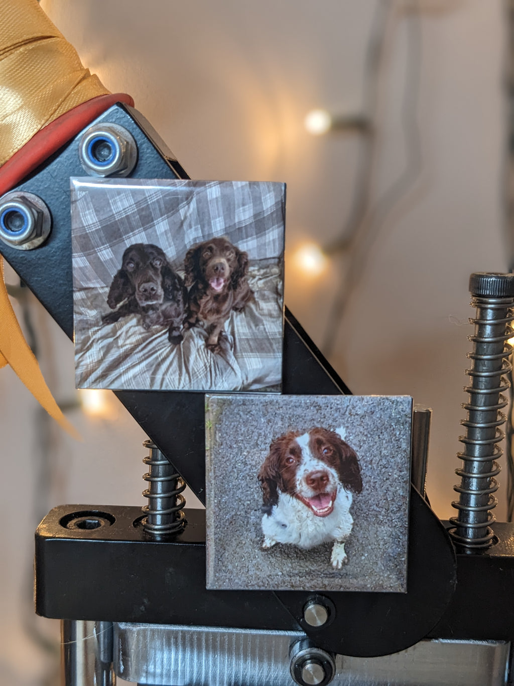 Custom Photo Magnets