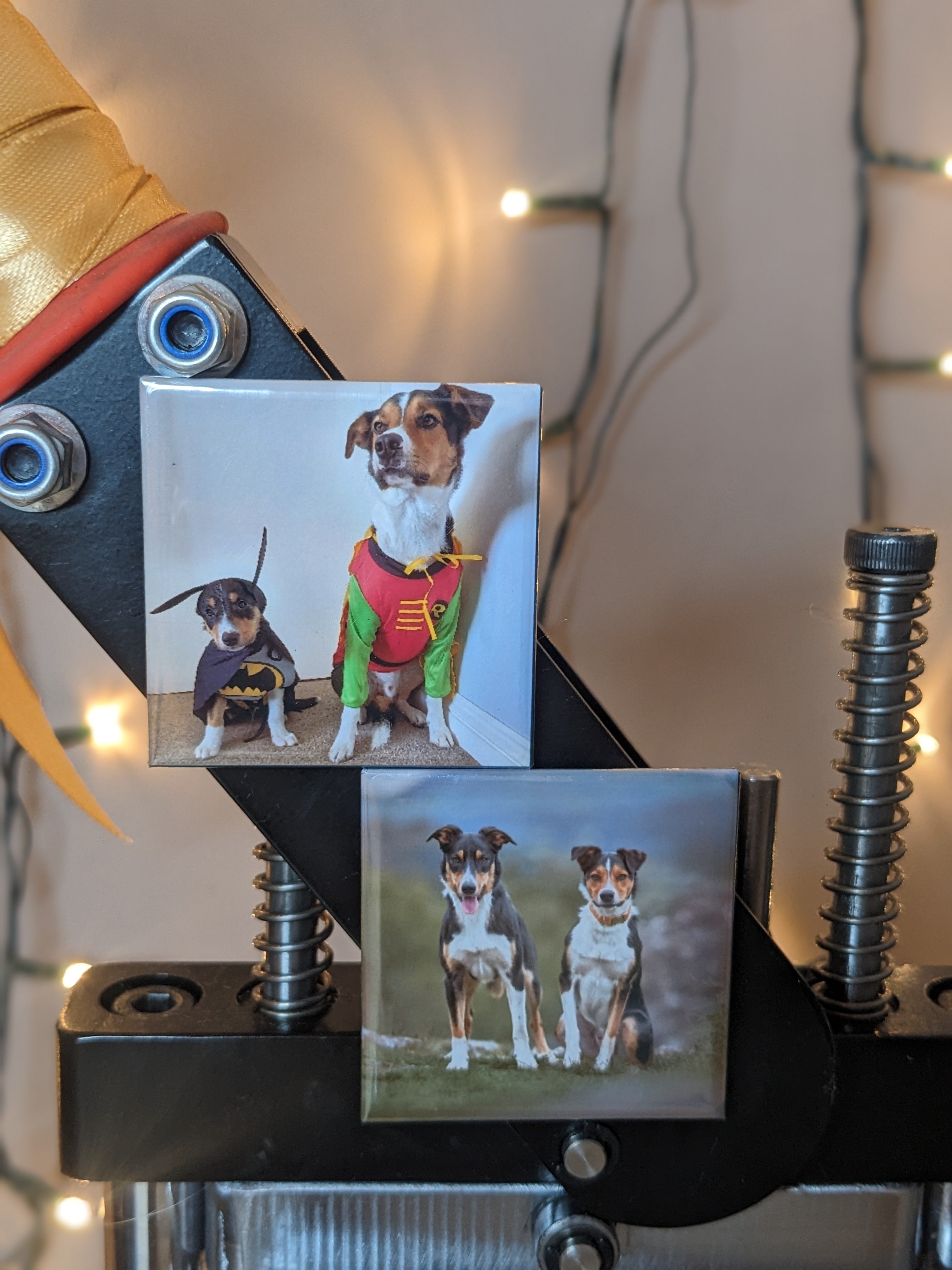 Custom Photo Magnets