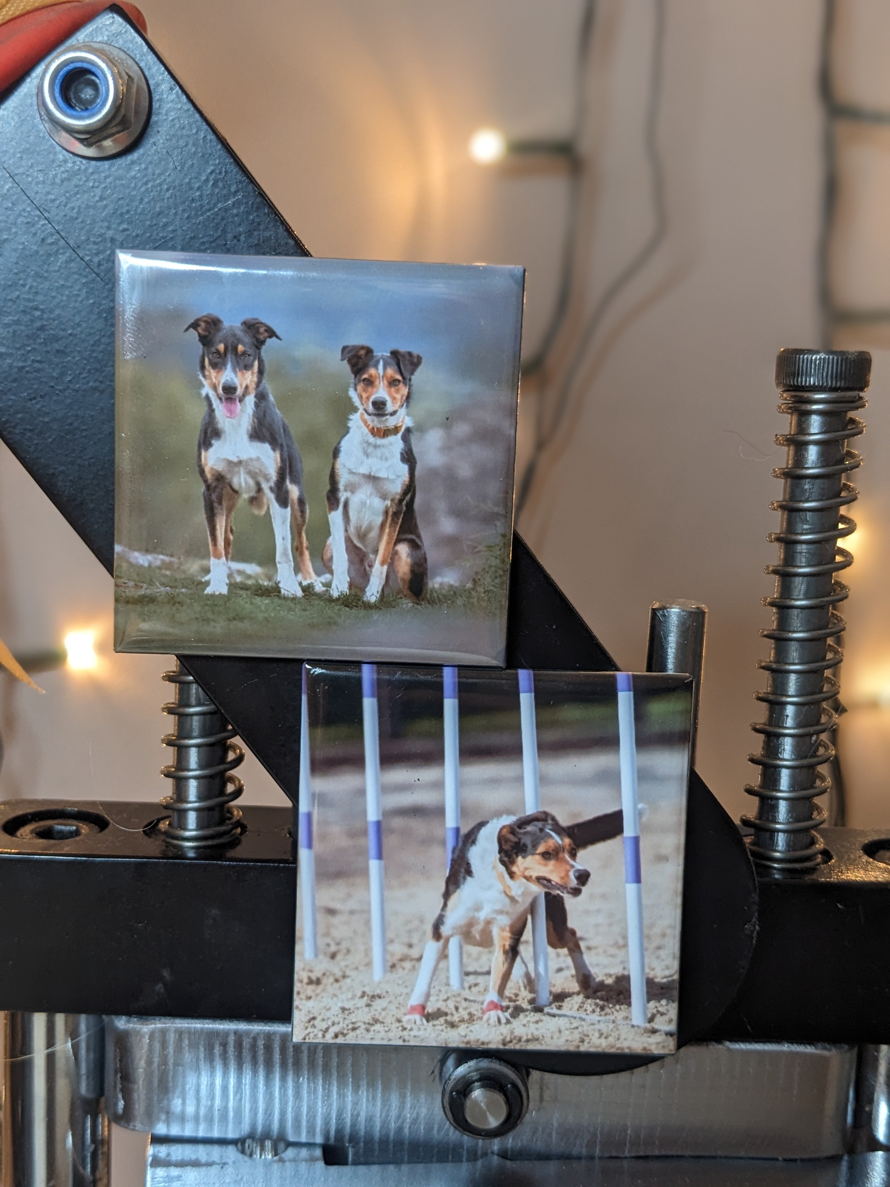 Custom Photo Magnets